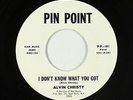 Funk 45 - Alvin Christy - I Don't Know What You Got - Pin Point - VG+ mp3