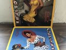 Prince Madhouse 8 & 16 Paisley Park Records Vinyl Lp