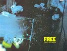 FREE - TONS OF SOBS - 12