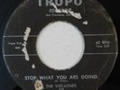 doo wop 45 THE VISCAYNES Stop What You Are Doing TROPO sly stone G HEAR