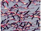DEFTONES - Gore (2lp)- 2 Vinyl - **BRAND NEW/STILL SEALED** - RARE
