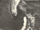GROUNDHOGS - SPLIT - 12
