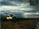 Depeche Mode - a Broken Frame (2017) LP Vinyl