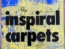 INSPIRAL CARPETS Trainsurfing 12
