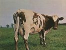 PINK FLOYD - ATOM HEART MOTHER - DE 70 - NM - 1st PRESS
