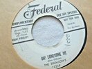 The Swallows-Oh  Lonesome Me b/w Angel Baby (DooWop) 7