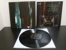 BLACK VINYL - Nature and Organisation - Beauty Reaps the Blood of Solitude (2017