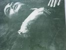 THE SMITHS - THE QUEEN IS DEAD (UK Press) LP ROUGH 96, vinyl, 1986