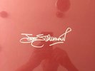 JOE STRUMMER 001 Super Deluxe Edition 3-LP + 12