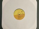 Roger Waters - The Pros And Cons Of Hitch Hiking Vinyl Record (VG) No Sleeve Ger