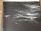 WESTERN ADDICTION - TREMULOUS - BLACK/ GREY VINYL . NOFX. ENEMY YOU , DEAD TO ME