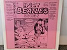 Beatles - Spicy Beatles Songs (TMOQ)