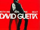 David Guetta ?– 2 LP Nothing But The Beat NM NEAR MINT