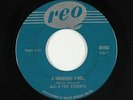 Garage 45 - M.G. & The Escorts - A Someday Fool - Reo Canada - mp3