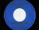 Rockabilly R&B 45 - Ray Sharpe - There'll Come A Day - Park Central - mp3