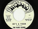 Surf Inst./Psych Funk 45 - Rare Sound - He's A Tiger - In-Sound - mp3