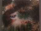 Pink Floyd A Saucerful of Secrets Mono LP Misspelling 