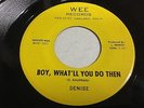 Denise and Co. RARE GARAGE FUZZ PSYCH 45 Boy What'll You Do Then / Chaos WEE Lbl