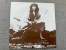 KATE BUSH NIGHT OF THE SWALLOW RARE EMI IRISH 7’’ IN PICTURE SLEEVE EXCELLENT