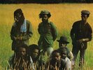 BLACK ROOTS Black Roots LP VINYL UK Kick 1983 8 Track Original. KICLP02