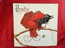Paradise - Paradise - LP/33rpm [Ebony Records  EB 701] 1980