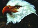 Mogwai - The Hawk Is Howling [VINYL]