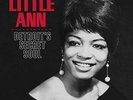 Little Ann - Detroit's Secret Soul [VINYL]