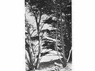 Rick Deitrick - Gentle Wilderness [VINYL]