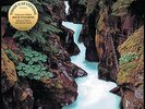 Yusuf / Cat Stevens - Back to Earth [VINYL]
