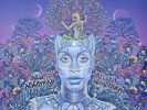 Erykah Badu - New Amerykah Part Two: Return Of The Ankh (2LP)