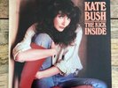 KATE BUSH 