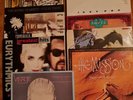 Maxi lp 44 Stück quer Beet