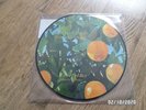 LANA DEL REY: VIOLET BENT BACKWARDS OVER THE GRASS LP Vinyl Picture Disc Ltd Ed