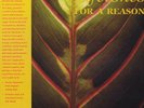 Lifetones - For A Reason LP - Vinyl Album SEALED This Heat DUB Record