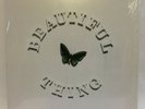 The Stone Roses - Beautiful Thing 12” Vinyl One Sided Single 2016 - CHEAPEST NOW