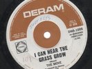 THE MOVE  Rare 1967 Aust Only 7