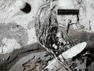 SECRETS OF THE BEEHIVE (180G/DL CARD)