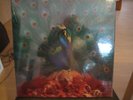 LP  - OPETH - Sorceress - limitierte BOX incl. CD, Poster etc.   Still sealed