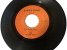 Garage Rock Beat THE YOUNG ONES Too Much Lovin, Harbor Melon 45 NOS