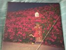 Feist Pleasure Lp