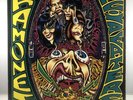 Ramones Acid Eaters Lp Vinil Brazil 1993 1st Press W/ Insert No Barcode Rare NM
