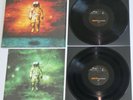 BRAND NEW Deja Entendu 180 GRAM VINYL 2LP (2015) saves the day.new found glory