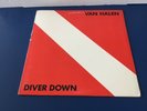 Van Halen Diver Down Vintage Vinyl 1982 Warner Bros. (Vinyl EX) BSK 3677