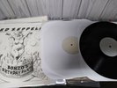 LED ZEPPELIN   BONZOS BIRTHDAY   2LP SET  OUT OF PRINT