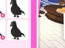 Two Regular Crows Not Fr