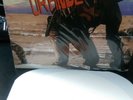 AGENT ORANGE - SURF PUNKS LP BloodStains Everything Turns Grey El Dorado  PunK