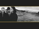 U2 - The Joshua Tree [VINYL]