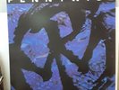 Pennywise by Pennywise 2004 LP In Near Mint Condition