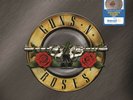 Guns N Roses - Greatest Hits - Limited - Paradise City Splatter-2LP- VINYL- NEW