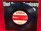 SHED SEVEN Speakeasy 1994 UK 7
